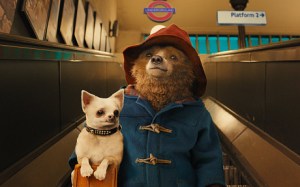 paddington-bear