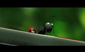 miniscule-ant-and-ladybug-e1421897256218