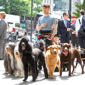 1404161866_daniel-radcliffe-lg