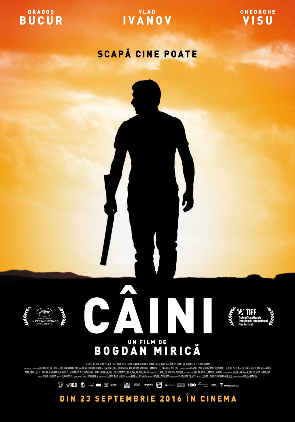 poster-film-caini