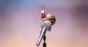 2441_fp_snail-1