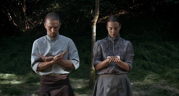 Competing for Sunlight ASH