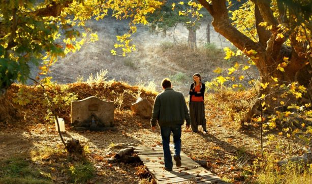 The Wild Pear Tree-film still1