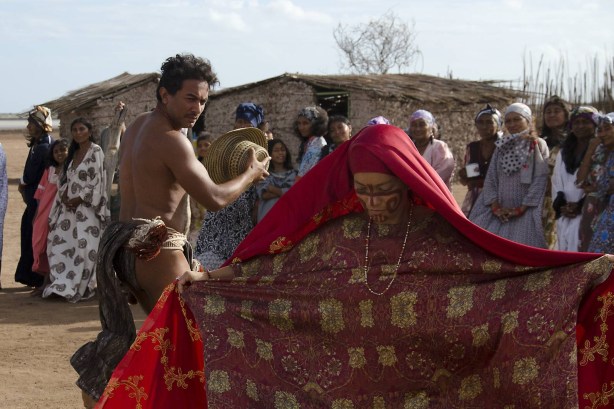 pajaros-de-verano-237017l