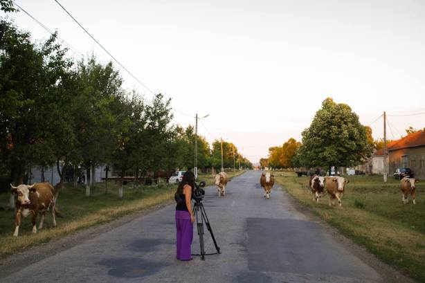 Aristoteles Workshop call for entries