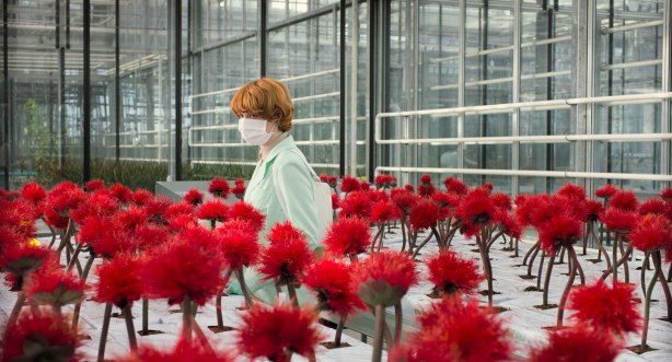 LittleJoe_Low_Still5